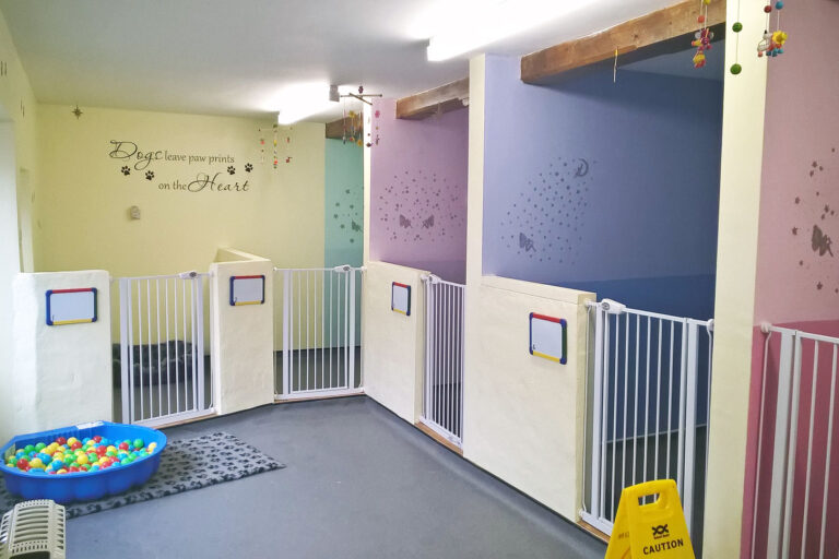 Tutehill Boarding Kennels & Cattery