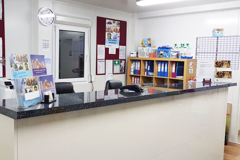 Tutehill Boarding Kennels & Cattery