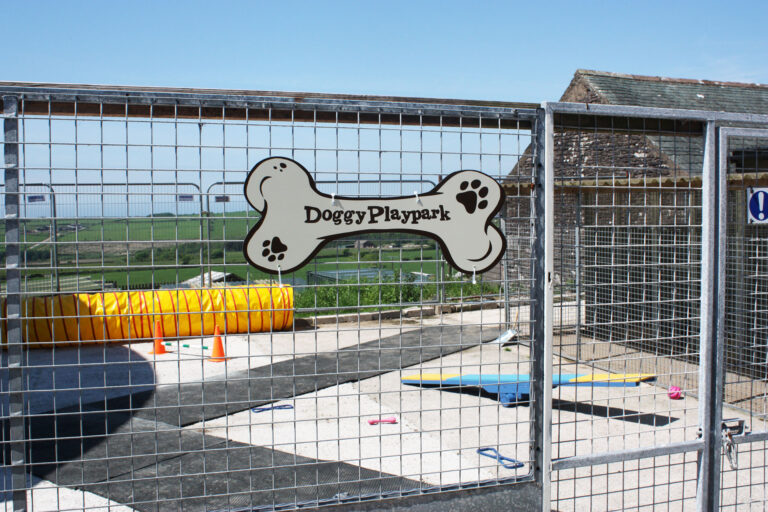 Tutehill Boarding Kennels & Cattery - Secure Play Park