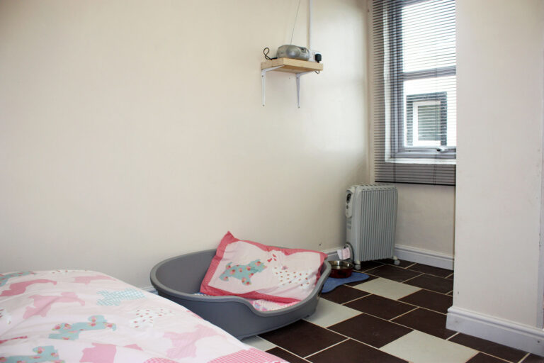 Tutehill Boarding Kennels & Cattery